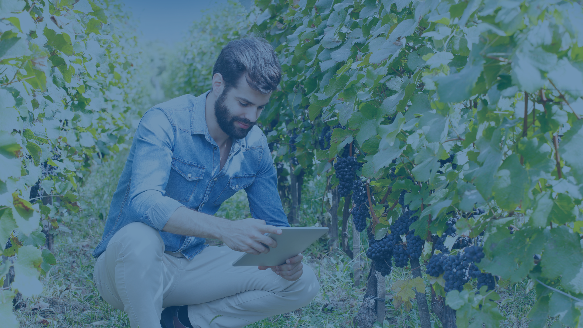 Valle de Guadalupe: cuando el éxito expone la fragilidad del origen
